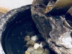 -笑福亭料理小馆(解放碑店)