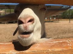 -鄂尔多斯野生动物园