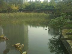 android_upload_pic-解放公园