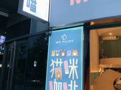 门面-飞行喵MR PILOT|猫舍·猫咖(静安大融城店)