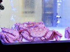 -澜棠海鲜(余姚阳明古镇店)