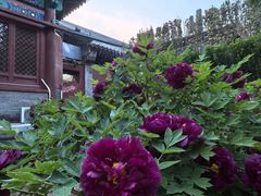 -北京市劳动人民文化宫(太庙)