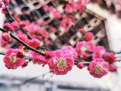 -尚贤河湿地
