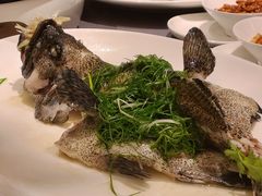 清蒸老虎斑-金悦轩海鲜酒家(拱北店)
