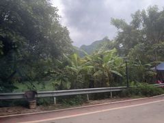 -明仕田园