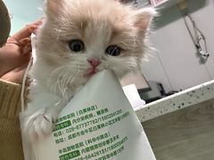 -半岛宠物医院24小时(科华中路店)