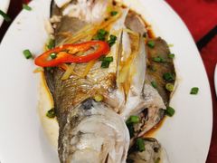 -蛇口康乐快餐鱼仔档(翠苑小区店)