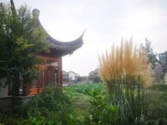 -龙潭水乡