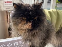 -小时光咖啡馆(北锣鼓巷店)