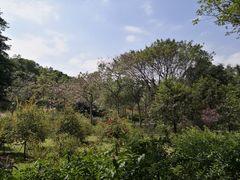 -云溪植物园