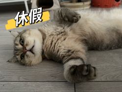 -KS COLOUR漂色·染发·画染