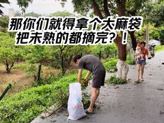 -长洲岛