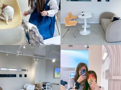 -怪兽屋·羊驼·猫咖·狗咖(俊华广场店)