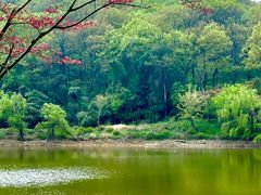 -南山风景名胜区