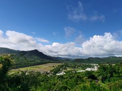 -亚龙湾热带天堂森林公园