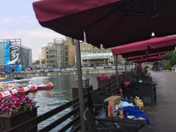 -星海水上乐园(星海广场圣亚店)