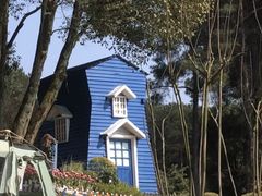 -铁山坪森林公园