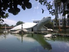 -东方巨龟苑景区