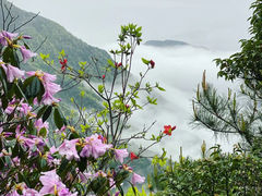 -萍乡武功山风景名胜区