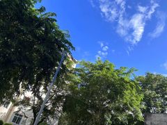 -锦里海景海鲜餐厅.三亚老字号(亚龙湾中心广场店)