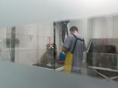 -达爱动物医院·犬猫分区·CT·复杂眼科(远洋山水分院)