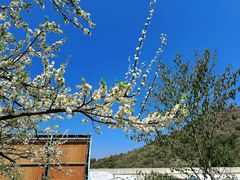 -名花谷生态庄园