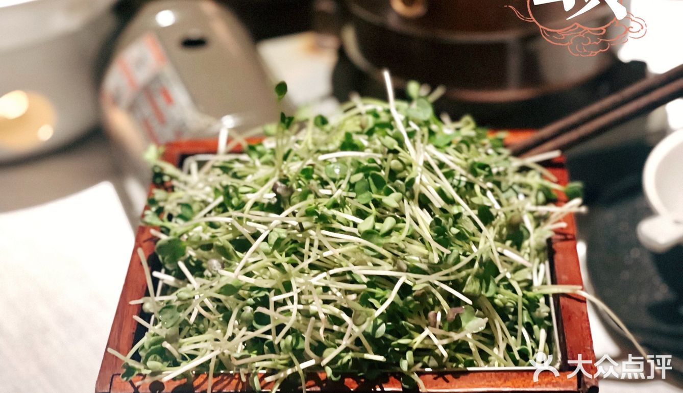 堕入稻田里的幸福～～湘颂🌾