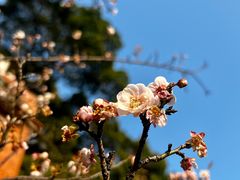 -草庵摩尼教遗址公园