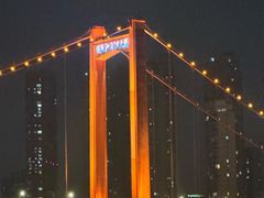 -武汉两江游览·夜游长江(汉口粤汉码头)