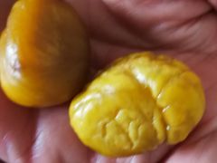 -阿男野栗王(金门路店)