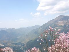 -九皇山景区