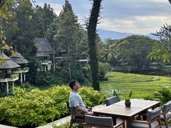 -四季酒店下午茶