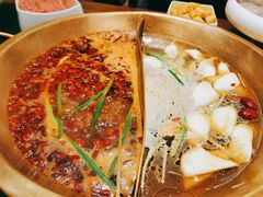 菌汤鸳鸯锅-沸炉重庆老火锅(军事博物馆店)