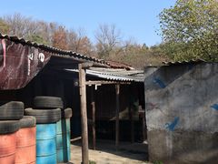 -东湖小天池真人CS彩弹野战基地
