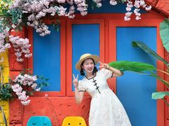 -南湖梦幻岛