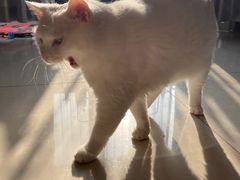 -北京赛佳动物医院