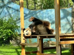 -鄂尔多斯野生动物园