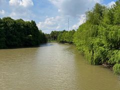 -上海海湾国家森林公园