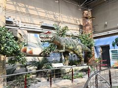 -国家自然博物馆