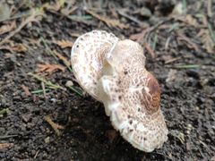 -青州市云门山风景区