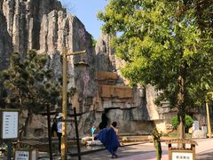 -洪湖悦兮半岛国际温泉度假村