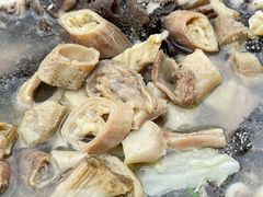 -小杨翘脚牛肉