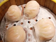 虾皇饺-蝴蝶里·粤菜·点心(龙湖天街&滨江店)