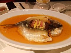 -金美华轩(东方路齐鲁店)