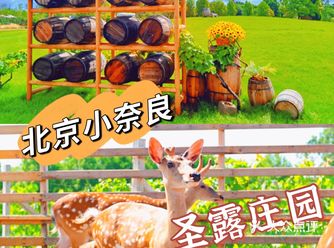 天津团建｜北京小奈良，这个小众秘境藏不住了