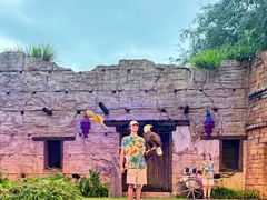 -奥兰多迪士尼动物王国乐园