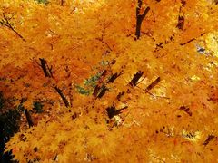 -苏州河梦清园环保主题公园