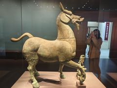 -广西壮族自治区博物馆