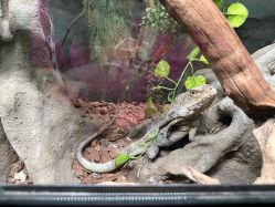 -Zoolung Zoolung动物主题公园(海信广场店)