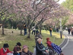 -苏州河梦清园环保主题公园